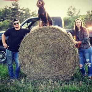 Meet your Posher, Austin